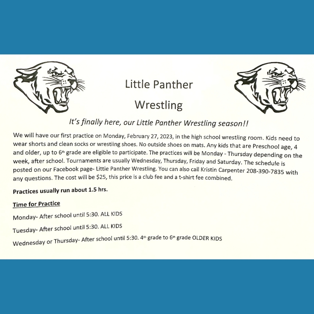 Little Panther Wrestling