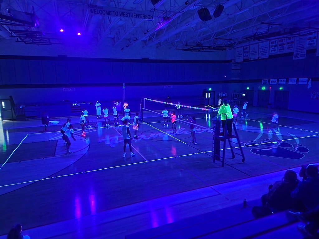 Glow in the dark volleyball